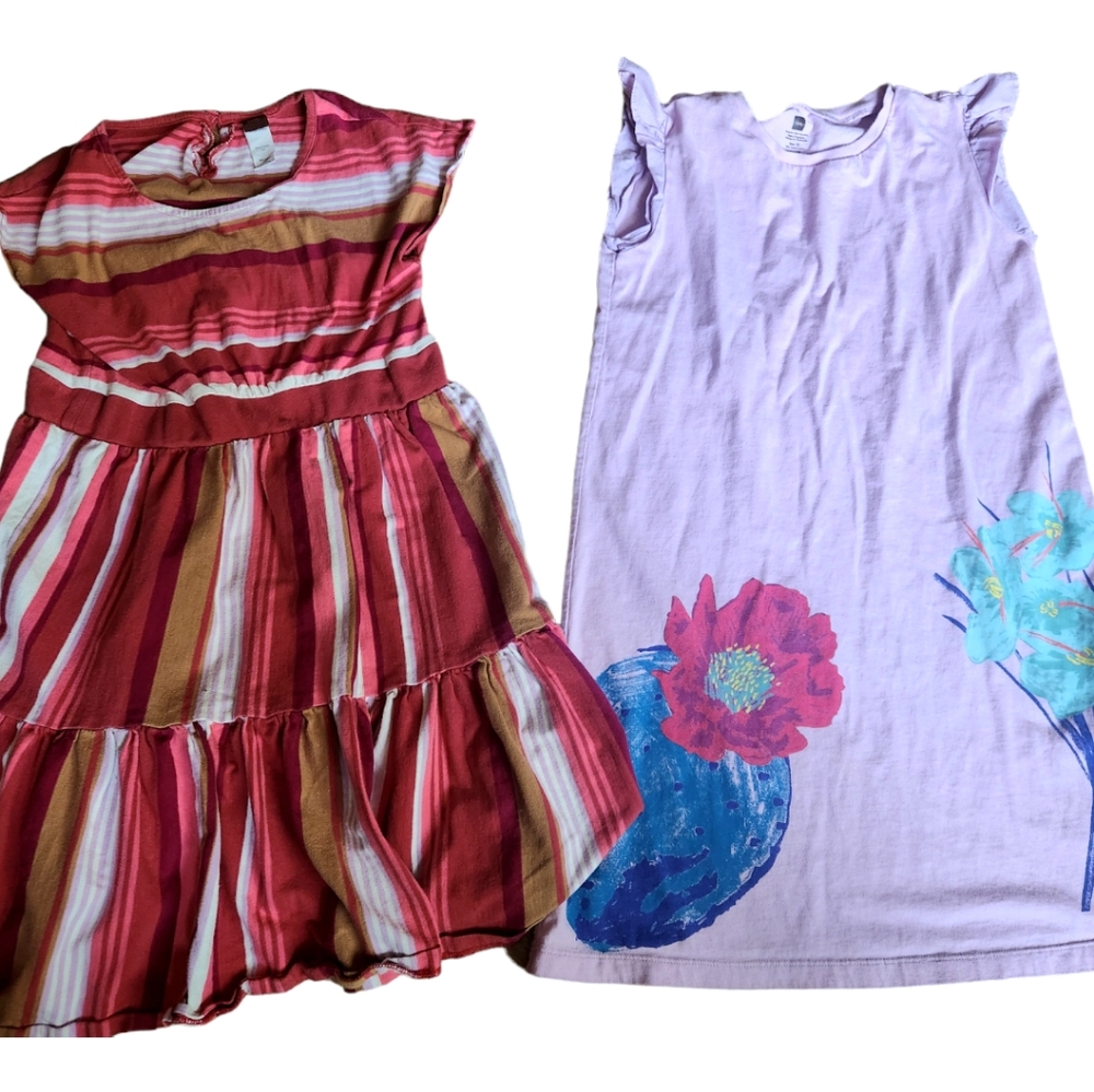 Dresses Tea Collection Girls Lot of 2 Floral Lilac Striped Red Brown Sz 10 & 12